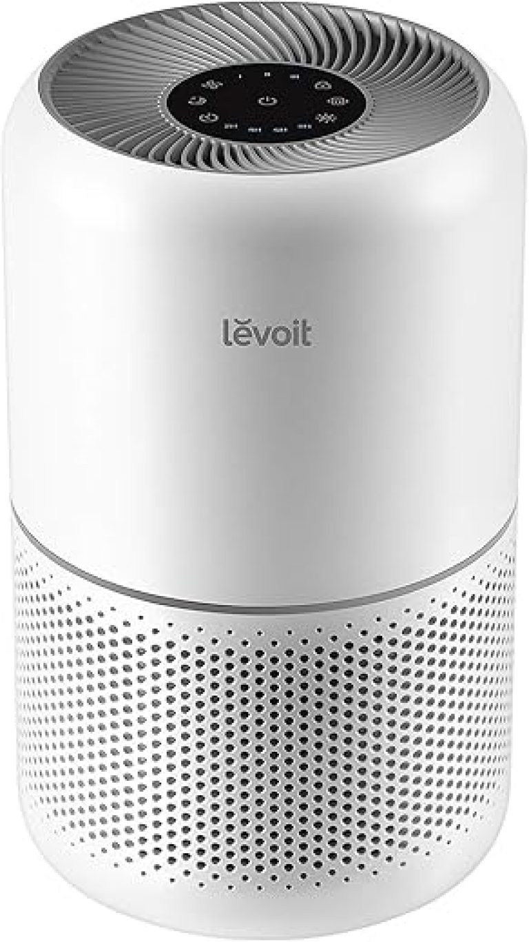 Reliable Air Purifiers under $100 that Reduce PM2.5 and Odors